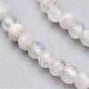 Natural Rainbow Moonstone Bead Strands G-P213-21-2mm-1