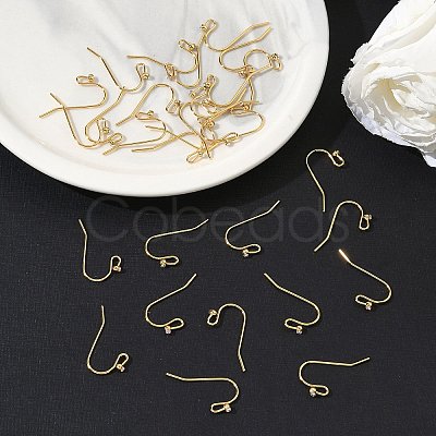 SHEGRACE Brass Earring Hooks XGR0137G-155G-1