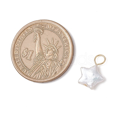 Natural Keshi Pearl Charms PALLOY-JF04240-01-1