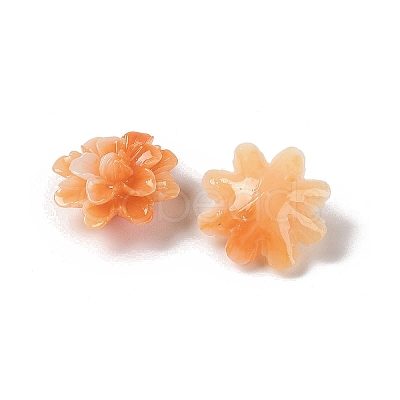 Synthetic Shell Dyed Beads SHEL-C006-01A-1