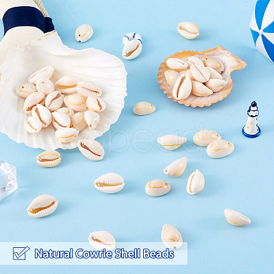 Natural Cowrie Shell Beads BSHE-TA0001-01-1