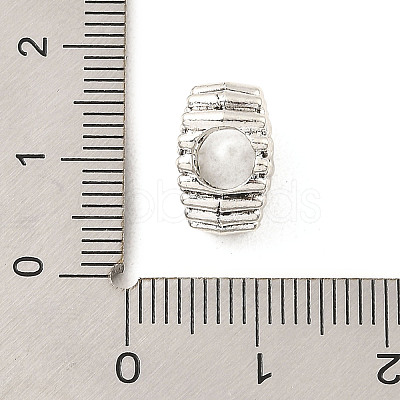 Tibetan Style Alloy European Beads FIND-E041-19AS-1