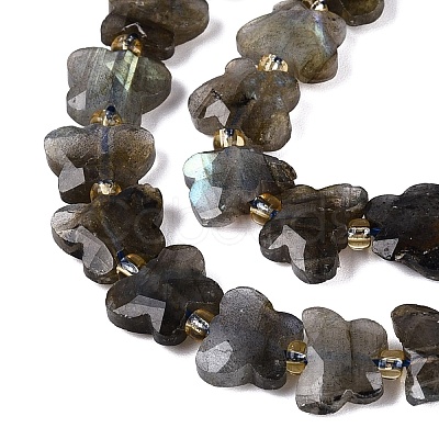 Natural Labradorite Beads Strands G-N371-10A-01-1
