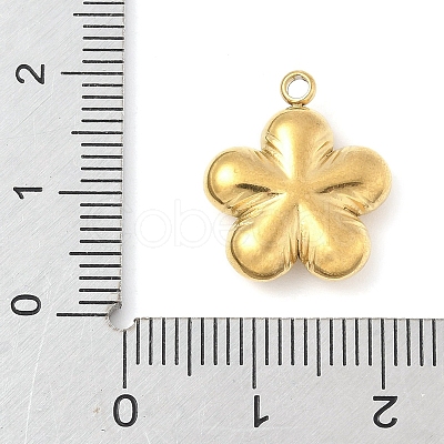 304 Stainless Steel Pendants STAS-R162-02G-01-1