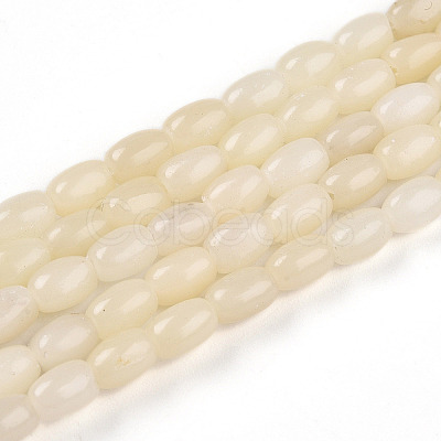 Natural White African Opal Beads Strands G-N346-02A-10-1