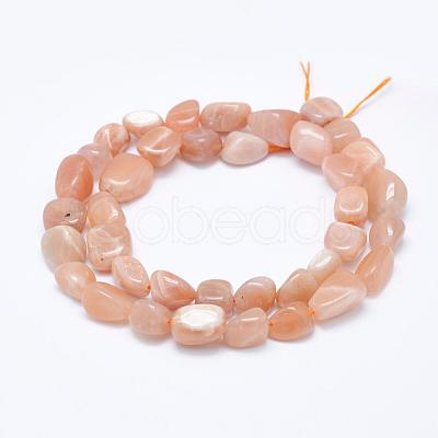 Natural Sunstone Beads Strands G-K203-11B-1