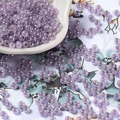 Glass Seed Beads SEED-H002-E-A1421-1