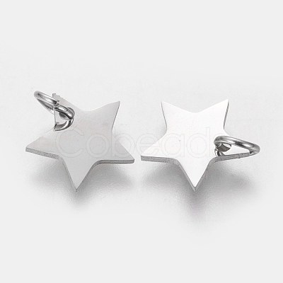 Tarnish Resistant 304 Stainless Steel Charms STAS-Q201-T461S-1