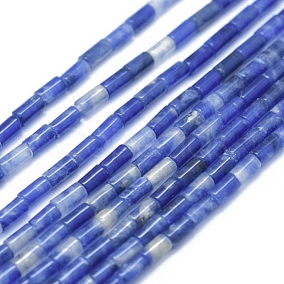 Natural Sodalite Beads Strands G-F631-B09-1