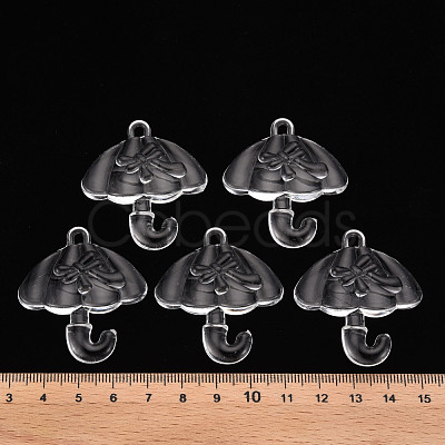 Transparent Acrylic Pendants TACR-T024-01B-205-1