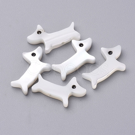 Puppy Natural Freshwater Shell Beads SHEL-T007-34-1