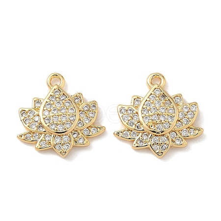 Brass Micro Pave Cubic Zirconia Charms KK-C099-09G-1