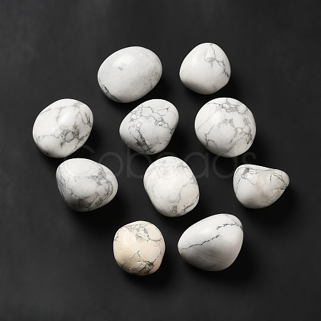 Natural Howlite Beads G-G979-A04-1