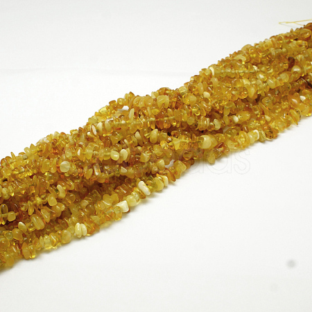 Natural Amber Chip Beads Strands G-E333-01A-1