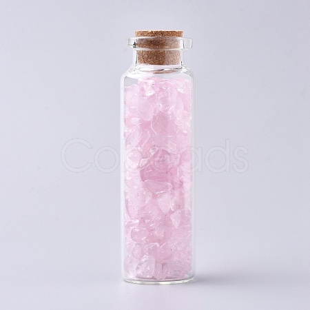 Glass Wishing Bottle DJEW-L013-A13-1