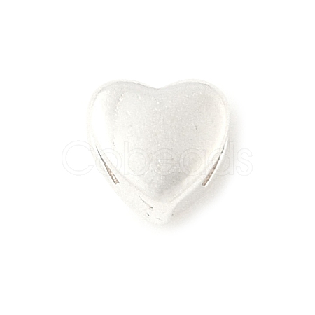 925 Sterling Silver Silde Charms STER-C013-02S-1