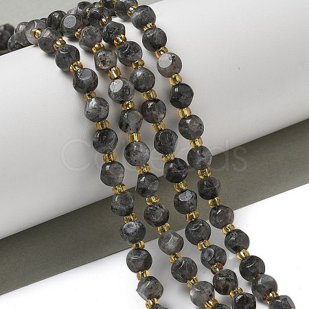 Natural Larvikite Beads Strands G-K387-A02-01-1