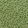 MIYUKI Round Rocailles Beads SEED-G007-RR0439-3