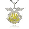 Silver Color Plated Brass Cage Pendants KK-J213-12S-2