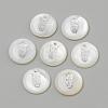 Freshwater Shell Pendants SHEL-Q010-007P-1