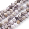 Natural America Petrified Wood Beads Strands G-P430-03-B-2