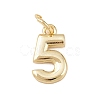 Brass Charms KK-G544-10G-05-1