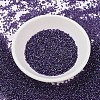 MIYUKI Delica Beads SEED-X0054-DB1756-2