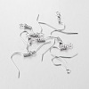 Iron Earring Hooks X-E135-1