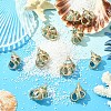 5Pcs Natural Sea Shell Pendants SSHEL-YW0001-11-4