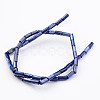 Natural Shell Bead Strands BSHE-P016-10-2