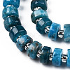 Natural Apatite Beads Strands G-N327-07D-3