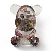 Resin Display Decorations DJEW-H001-B30-2