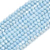 Electroplate Bicone Glass Beads Strands GL-T021-2.5x3mm-16-17-1
