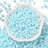 3/0 Glass Seed Beads SEED-L011-03A-05-2