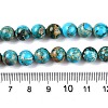 Natural Imperial Jasper Beads Strands G-N342-63C-5