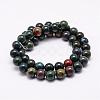 Natural Indian Bloodstone Beads Strands G-P257-07-8mm-2