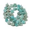 Natural Amazonite Beads Strands G-P534-A07-02-3
