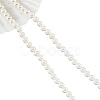 Shell Pearl Beads Strands SHEL-WH0001-009A-2