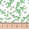 TOHO Round Seed Beads SEED-JPTR08-0167-4