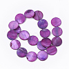 Freshwater Shell Beads Strands SHEL-T014-011E-2