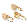 304 Stainless Steel Leverback Earring Findings X-KK-H152-08A-G-1