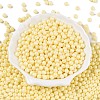 Opaque Baking Paint Glass Beads DGLA-T004-02C-1