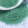 MIYUKI Delica Beads SEED-X0054-DB2053-1