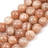 Natural Sunstone Beads Strands G-G342-A02-10.5mm-2