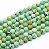 Natural Variscite Beads Strands G-G823-02-6mm-1