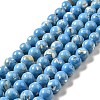 Synthetic Turquoise and Sea Shell Assembled Beads Strands G-D482-01A-04-2