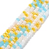 Glass Beads Strands EGLA-A034-M6mm-52-1