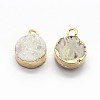 Natural Druzy Quartz Charms G-P396-07G-03-2