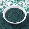 MIYUKI Round Rocailles Beads SEED-JP0010-RR3744-2