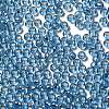 Glass Seed Beads SEED-H002-C-A046-3
